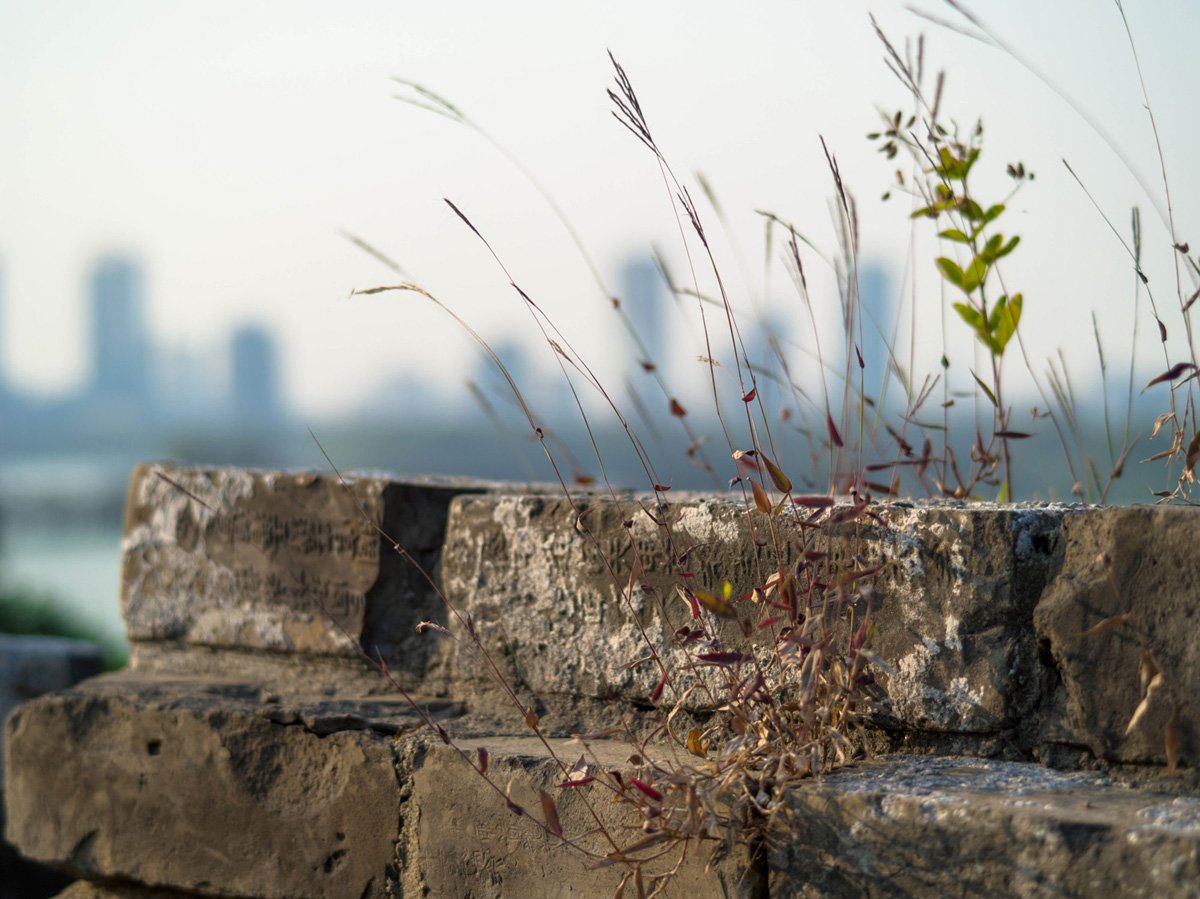 Ming City Wall