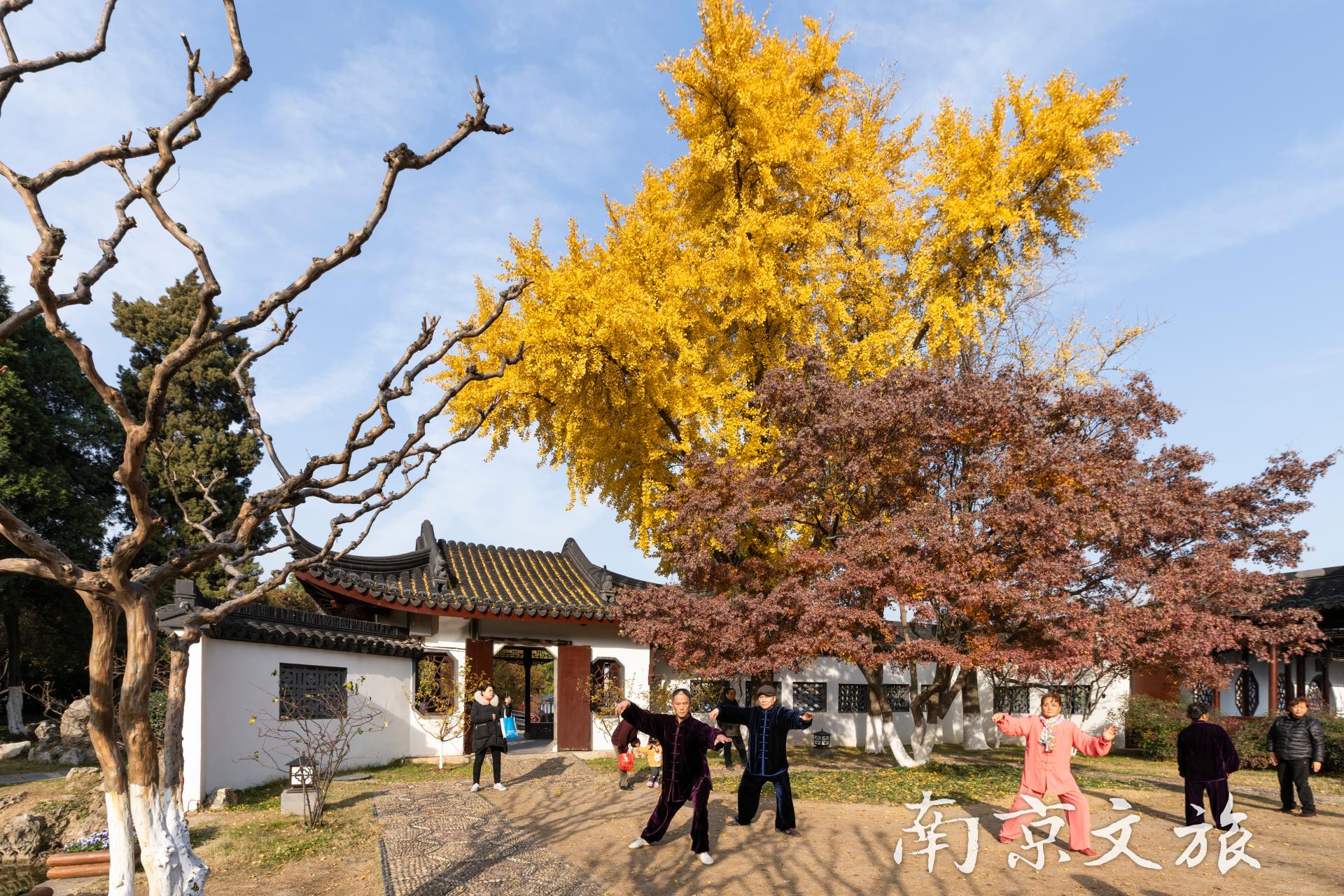 Mochou Lake Park