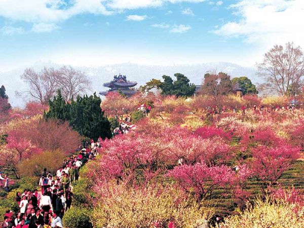 Meihua Mountain of Nanjing