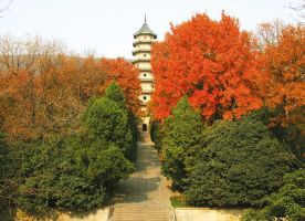 Linggu Park