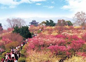 Meihua Mountain of Nanjing