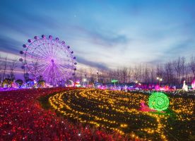 Wonderland of Thousand Lights