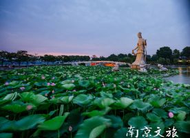 Xuanwu Lake